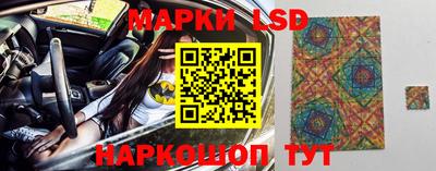 винт Донецк