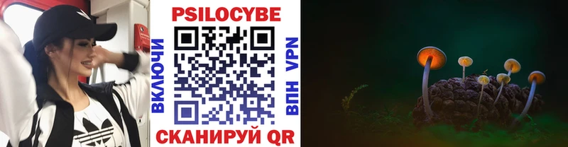 Псилоцибиновые грибы Magic Shrooms сколько стоит Майский