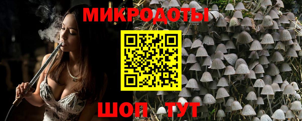 Галлюциногенные грибы прущие грибы Майский
