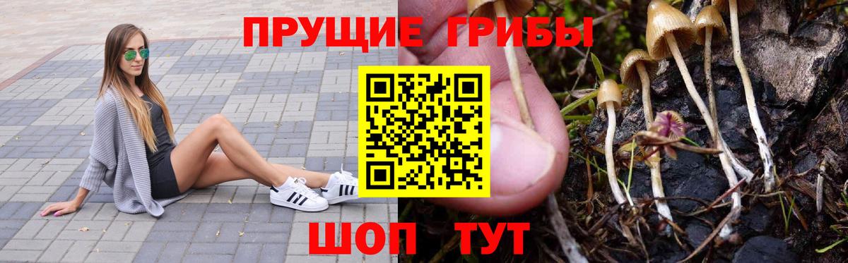 Майский  Галлюциногенные грибы Psilocybe  Вход с VPN 