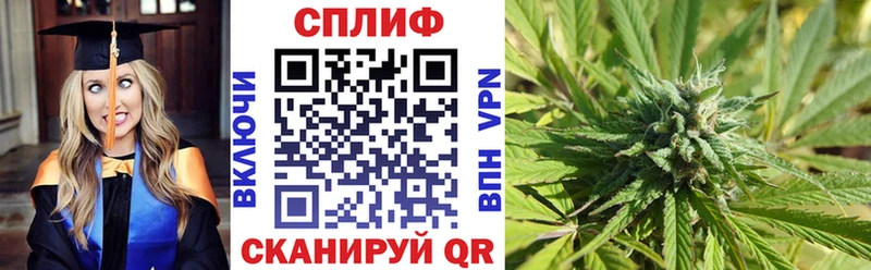 Бошки Шишки White Widow  где купить наркоту  Майский 